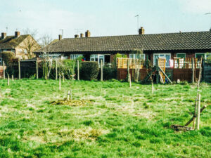 1 New orchard