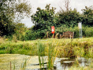 11 Swale 1999