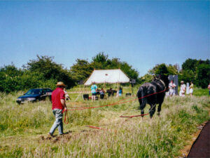 12 Harrowing demonstration 2000