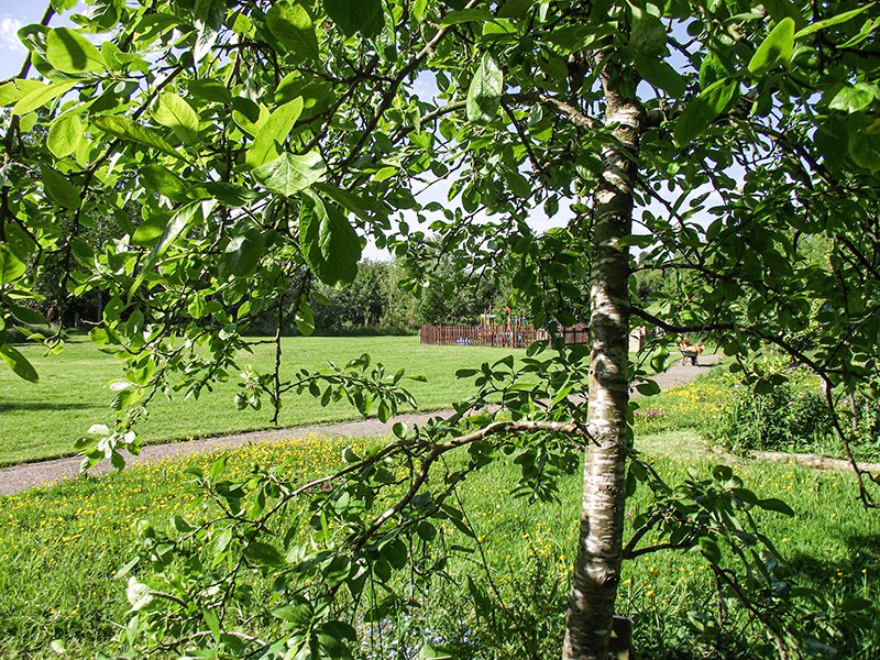 12 Orchard June 2015