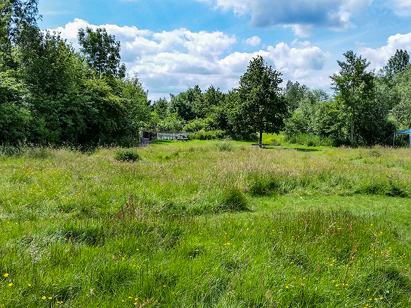 13 Meadow June 2015