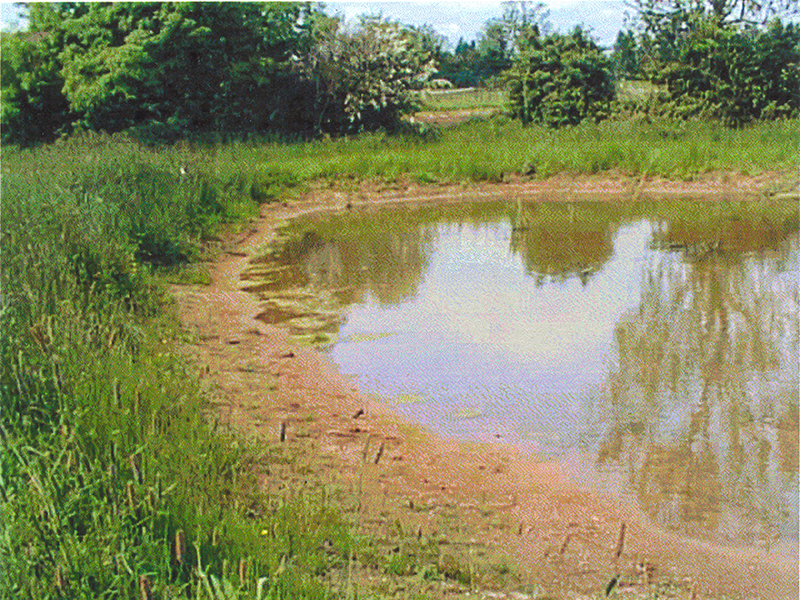 13 Swale 2003