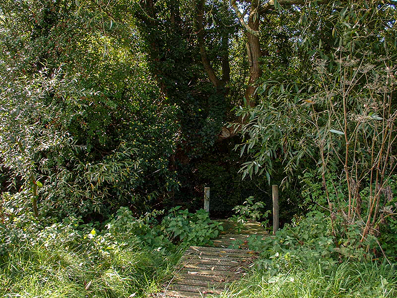 16 Swale September 2006
