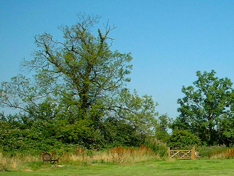 Annex entrance 2006