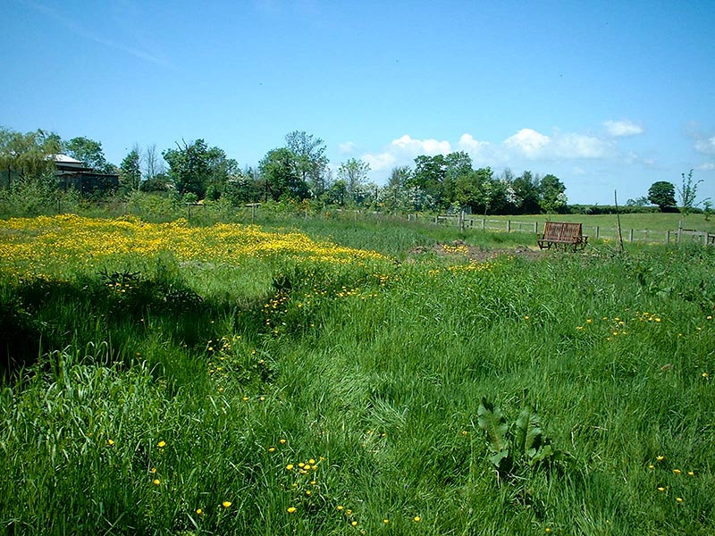 General view across annex 2003