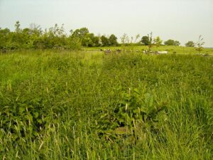 General view across annex 2004