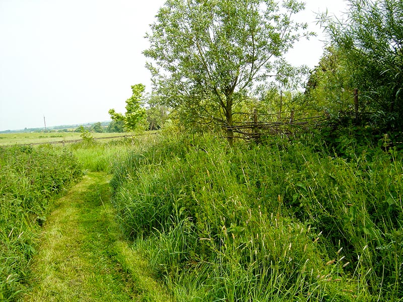 General view in annex 2004