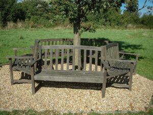 5 Benches under the Millenniium Oak