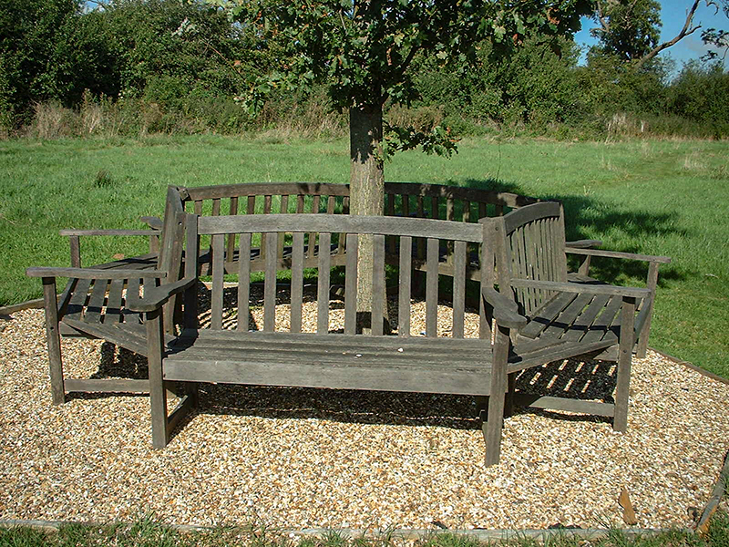 5 Benches under the Millenniium Oak