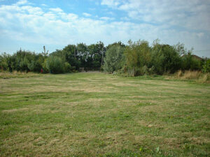 5 The Meadow July 2004