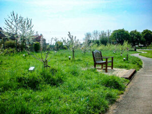 6 Orchard May 2001