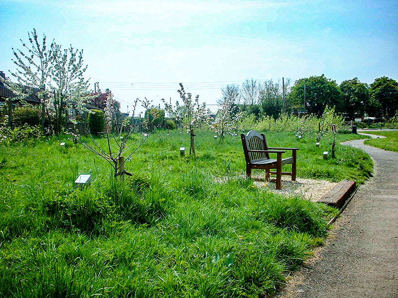 6 Orchard May 2001