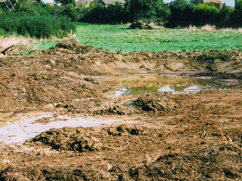 6 Swale 1998