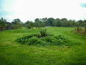 6 The Meadow September 2004
