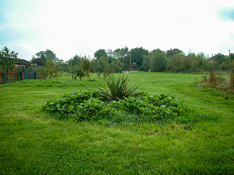 6 The Meadow September 2004