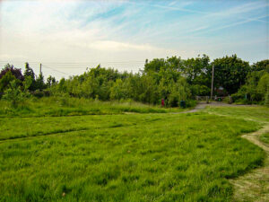 7 The Meadow May 2004