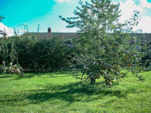 8 Orchard September 2006