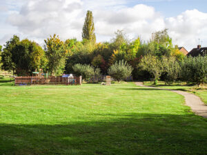 8 Play area 2015
