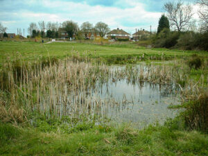8 Swale