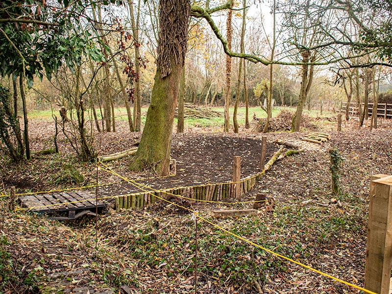 Woodland in the annex 2018