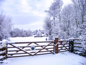Entrance in the snow 2016