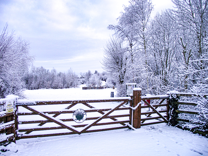 Entrance in the snow 2016